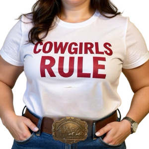 WELLS FARGO MINING & STAGECOACH COMPANY BRASS BELT BUCKLE 1875 VINTAGE